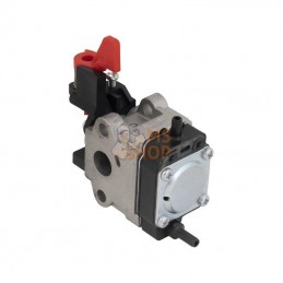 Carburateur Walbro | AL-KO