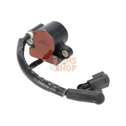 Bobine d'allumage | BRIGGS & STRATTON-593856