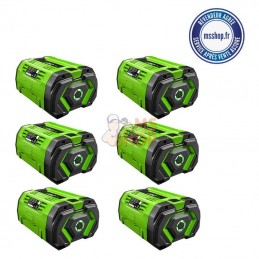 pack de 6 batterie PACK-6-BA5600T 10AH pour autoportées | EGO POWER