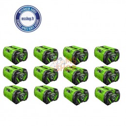 Pack de 12 batterie PACK-12-BA720T 12AH | EGO POWER