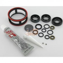 1A646098240 Kit de joints (avec huile) | TUFF TORQ 1A646098240