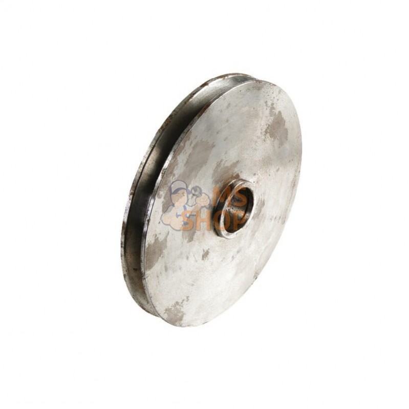RL0306060039 POULIE DE FRICTION | ROQUES ET LECOEUR
