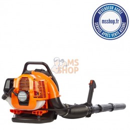 SOUFFLEUR A ESSENCE - SG33C | ANOVA 
Vue ensemble