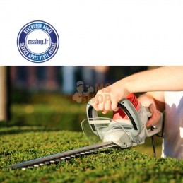 TAILLE-HAIE ÉLECTRIQUE 650W | ANOVA-CE2C