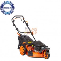 TONDEUSE - CC351T3 | ANOVA