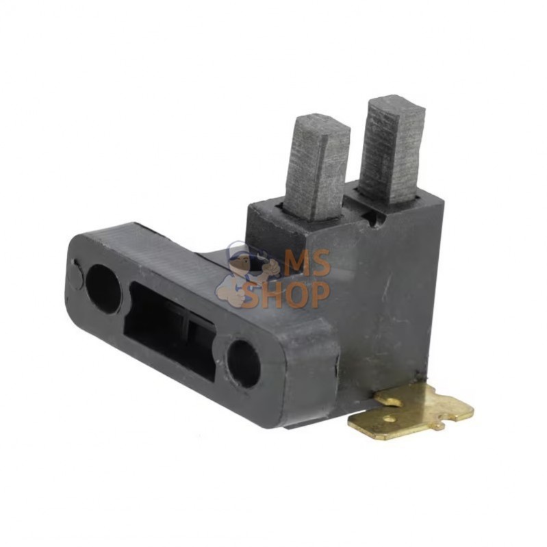 Brosse, ensemble | BRIGGS & STRATTONPR#405320