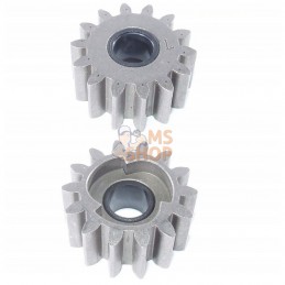 PIGNON DE ROUE G. | WEIBANG