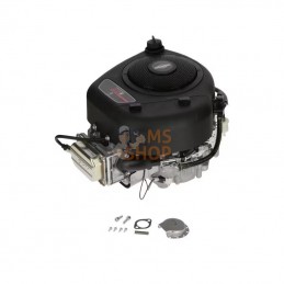 21R8070062B5; BRIGGS & STRATTON; Moteur vertical, 13,3 HP, monocylindre, série 3130, Briggs & Stratton; pièce detachée