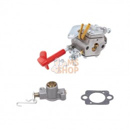 CARBURATEUR COMPLET | AL-KO 419441