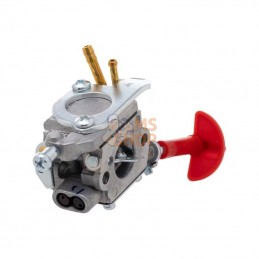 CARBURATEUR COMPLET | AL-KO 419441