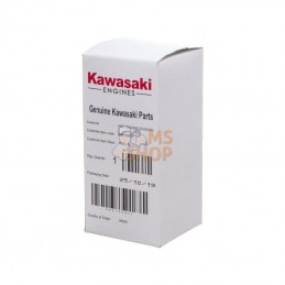 490190031; KAWASAKI; Filtre à essence; pièce detachée