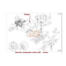COURROIE RENVOI | OUTILS WOLF