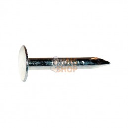 DP2525; KRAMP; Clous pour toiture 2,5x25 mm 2,5 kg; pièce detachée
