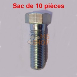 SAC  10 VIS | ISEKI