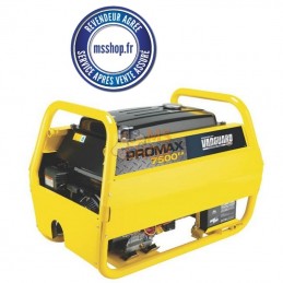 Groupe électrogène PROMAX7500EA | B&S - B&S-PROMAX7500EA