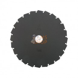 6695793; HIKOKI; Lame scie 24T-200-25,4-1,6mm; pièce detachée