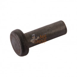 3232010; ESM; Rivet special ESM; pièce detachée