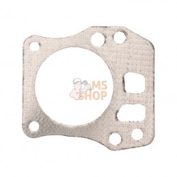 Joint de culasse p/ FJ180V...