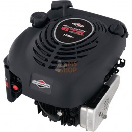 MOTEUR BRIGGS & STRATTON...