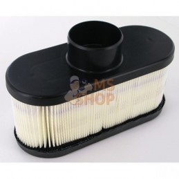 FILTRE A AIR FS481V...