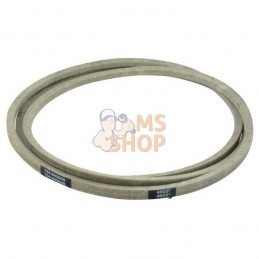 Courroie Typ A Sec x 96,5"...