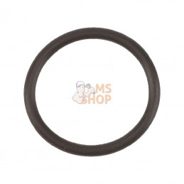 AGW415039; AGRIA; Bague pour joint circulaire; pièce detachée