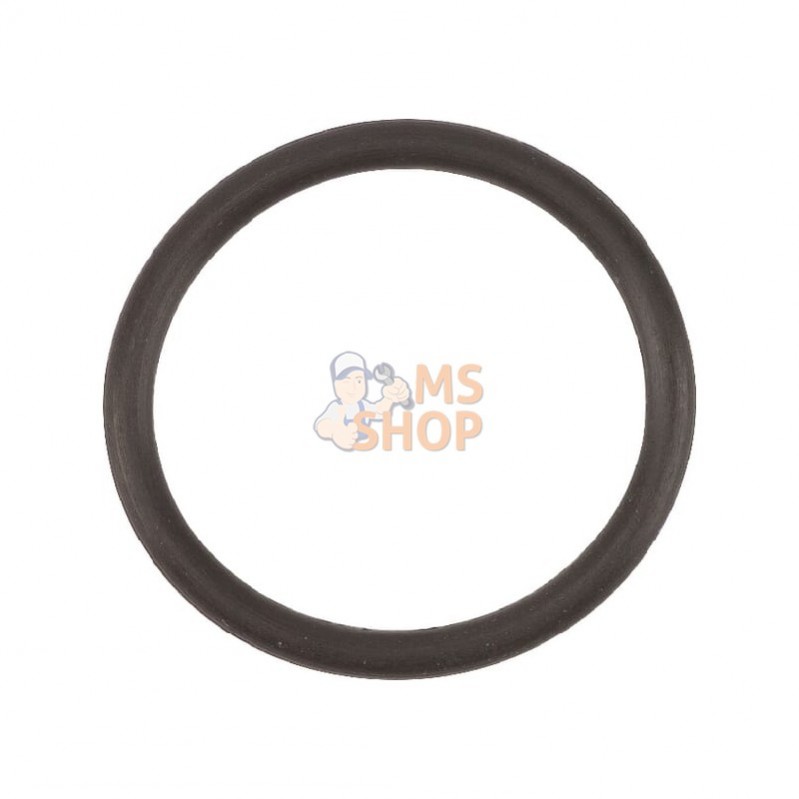 AGW415039; AGRIA; Bague pour joint circulaire; pièce detachée