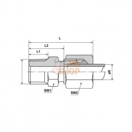 CLGEV6SR14K; KRAMP; Raccord à visser mâle droit 6S R1/4; pièce detachée