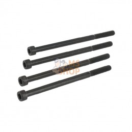 KREV96100; KRAMP; Jeu de boulons M6x100 (4) NG10; pièce detachée