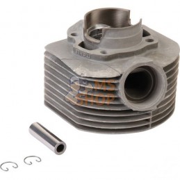 Cylindre avec pistons | AGRIA
