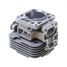 110050679; KAWASAKI; Cylindre moteur; pièce detachée