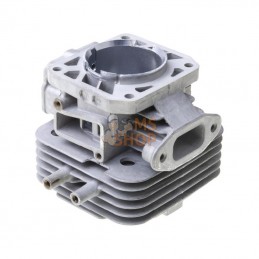 110050679; KAWASAKI; Cylindre moteur; pièce detachée