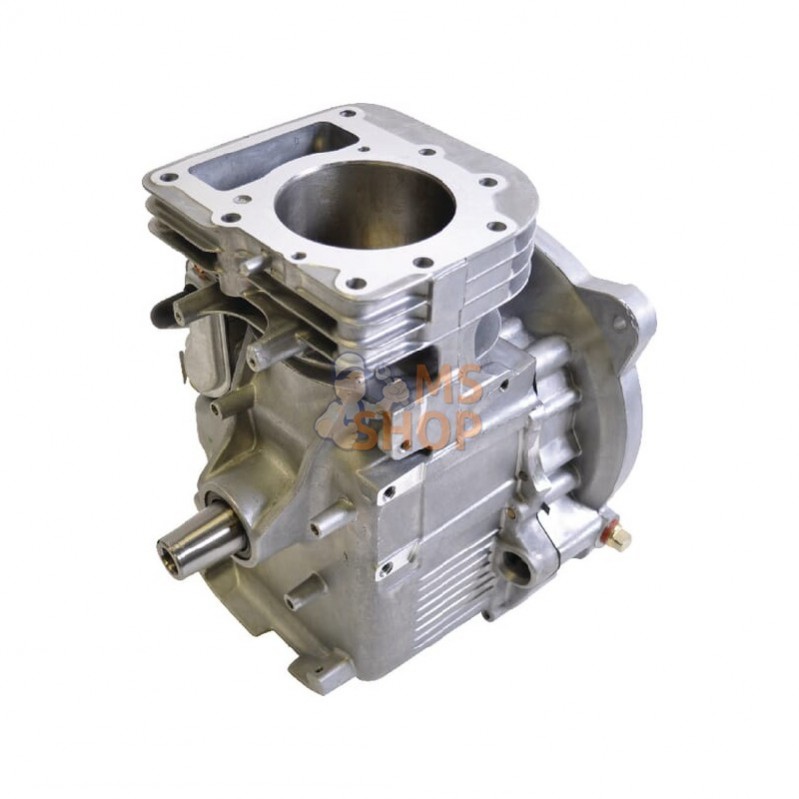 798770; BRIGGS & STRATTON; Sb model w-14; pièce detachée