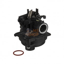596252; BRIGGS & STRATTON; Carburateur; pièce detachée