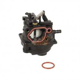 596252; BRIGGS & STRATTON; Carburateur; pièce detachée