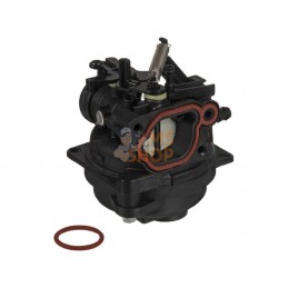 596252; BRIGGS & STRATTON; Carburateur; pièce detachée