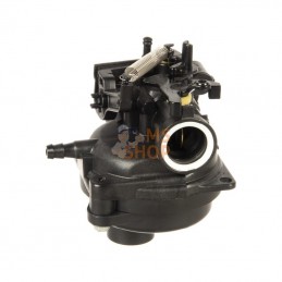 596252; BRIGGS & STRATTON; Carburateur; pièce detachée