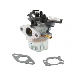 595509; BRIGGS & STRATTON; Carburateur; pièce detachée