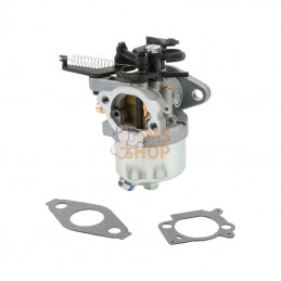 595509; BRIGGS & STRATTON; Carburateur; pièce detachée