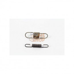 594918; BRIGGS & STRATTON; Kit ressort ralenti régulateur; pièce detachée