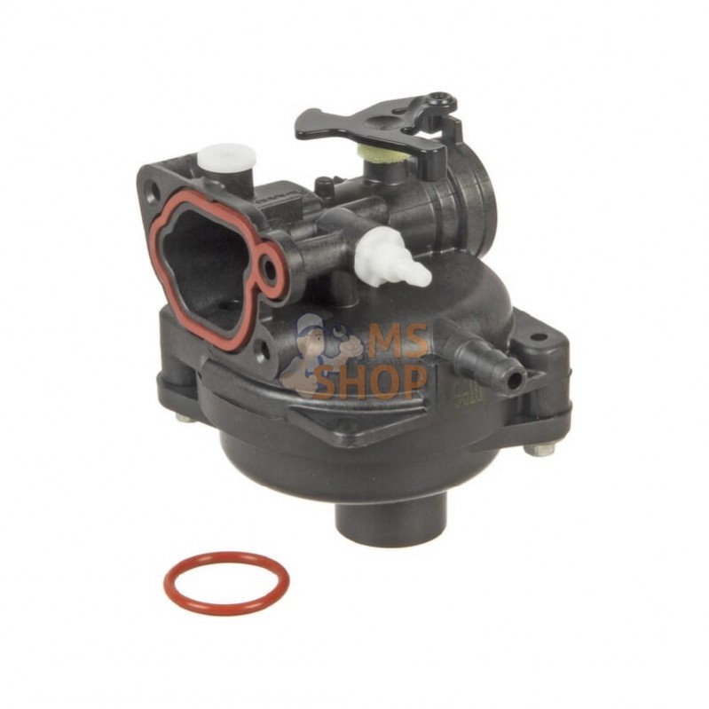 590556; BRIGGS & STRATTON; Carburateur; pièce detachée