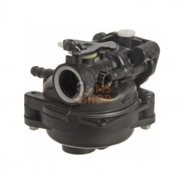 590556; BRIGGS & STRATTON; Carburateur; pièce detachée