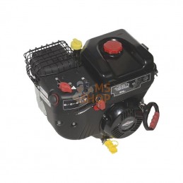 19J1370010F1; BRIGGS & STRATTON; Moteur complet; pièce detachée