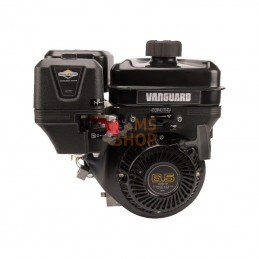 13L3320312F8; BRIGGS & STRATTON; Moteur complet; pièce detachée