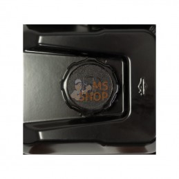 073035; BRIGGS & STRATTON; Pompe à eau 435 l; pièce detachée