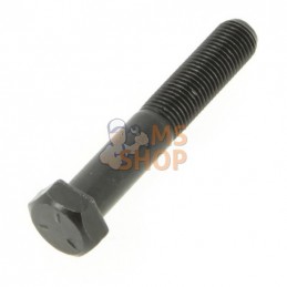 BOULON LAME 6-3 CM-VENDU/10...