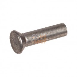 Rivet tête fraisee | AGRIA