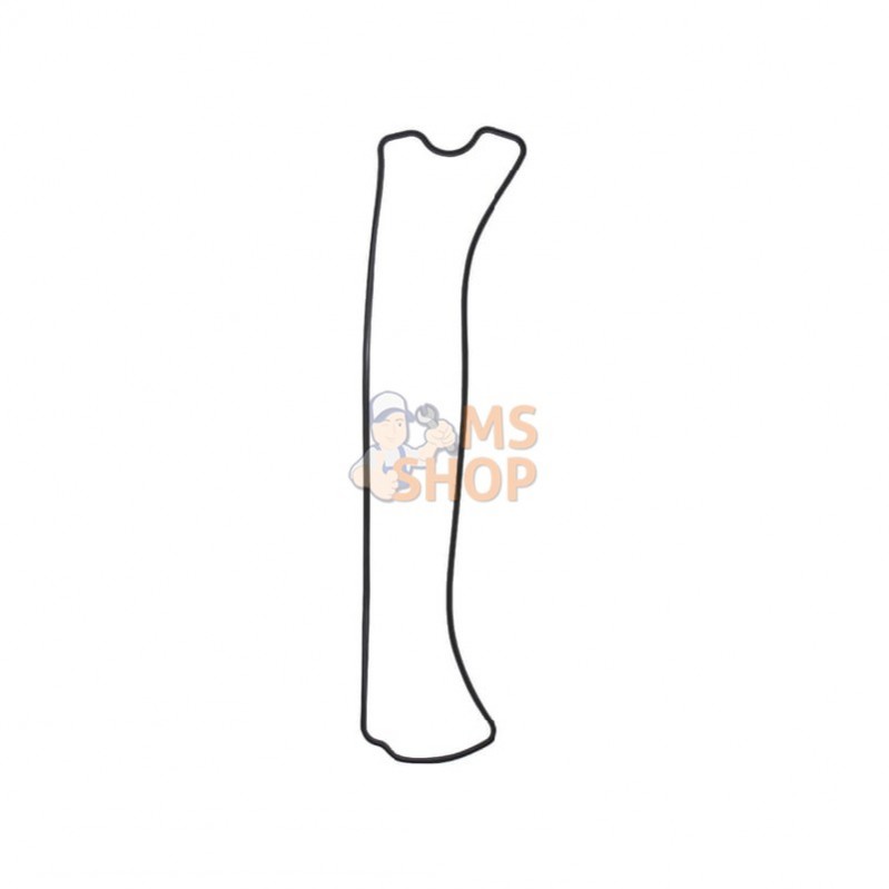 R123542N; AUTRE MARQUE; Joint de couvercle soupapes; pièce detachée