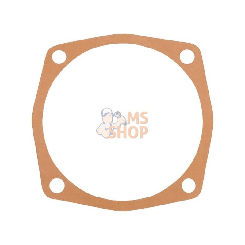 M24100124R; MASCHIO; Joint 0,3 mm Maschio; pièce detachée