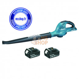 SOUFFLEUR 36 V - 2 X 18 V...